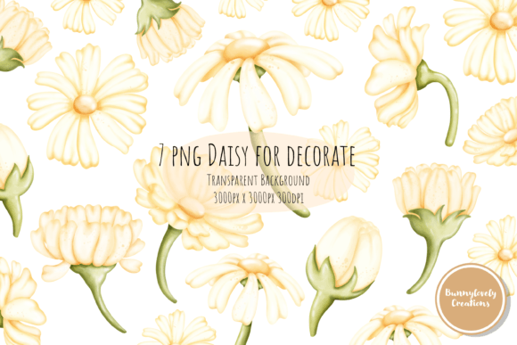 Download Daisy for Decoration - Decoration Collection