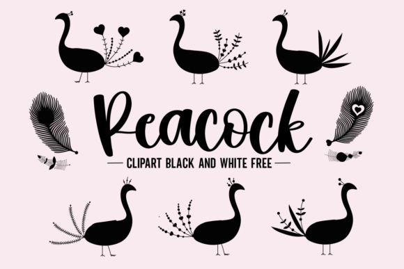 Download Peacock Clipart Black and White Free - Black Collection